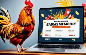 Bonus Member Baru Sabung Ayam Online