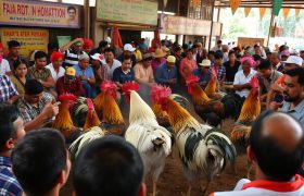 Bermain Di Taruhan Sabung Ayam